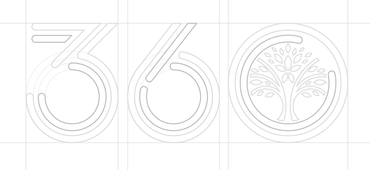 360 logo wireframe design